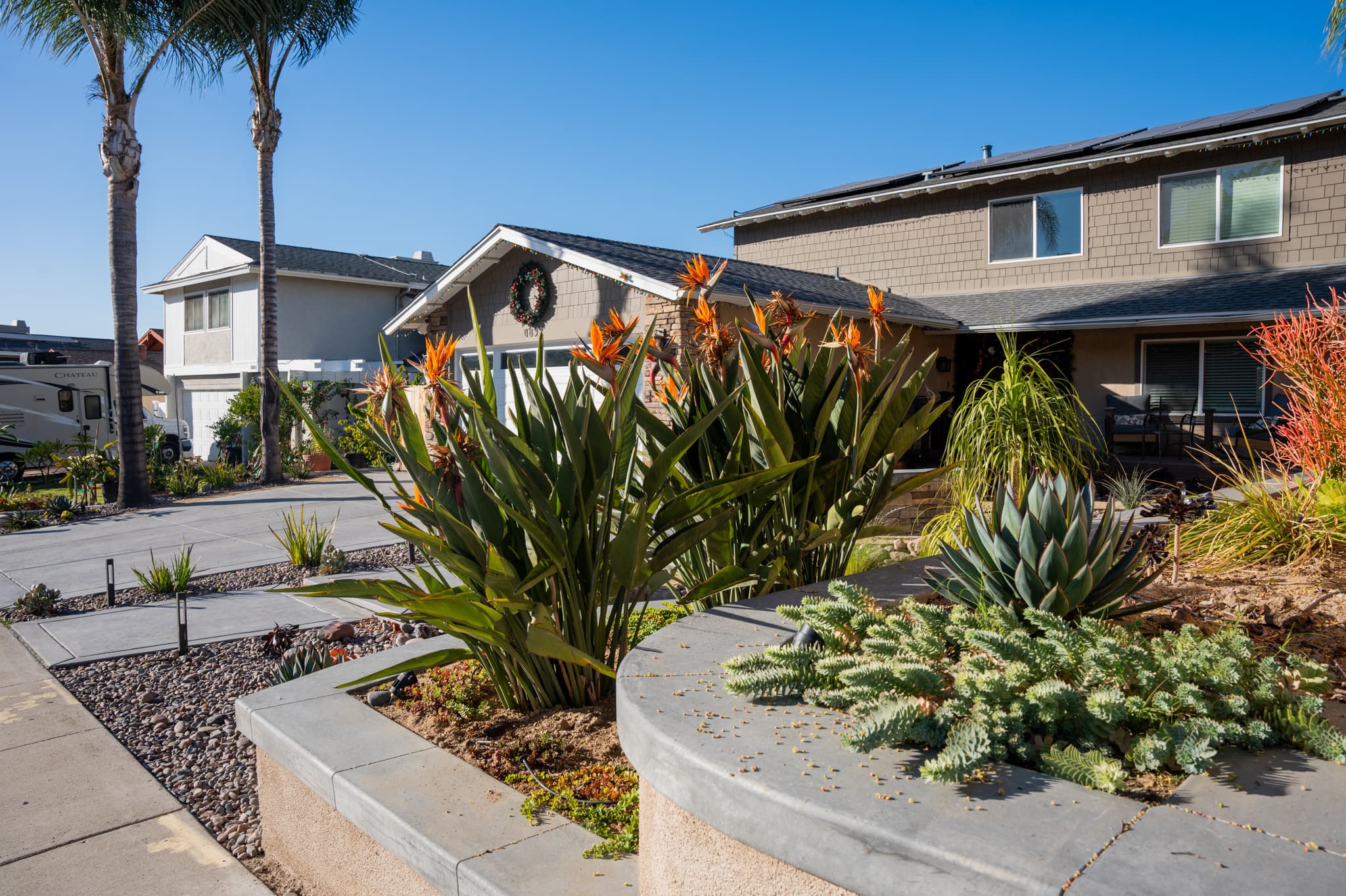 Drought-tolerant landscape with succulents, river rocks, and modern hardscaping.